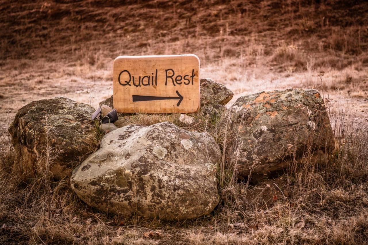 Villa Quail Rest Twizel Exterior foto